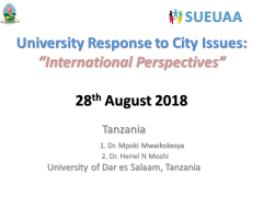 SUEUAA Interim Report - Dar-es-Salaam City